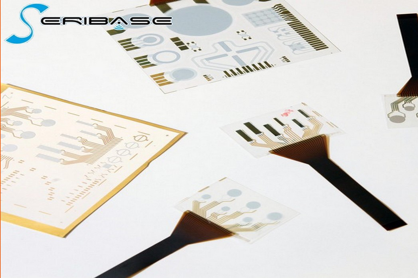 Visite de SERIBASE Industrie