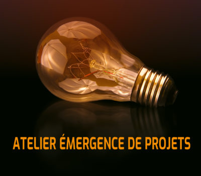 AAP R&D Collaborative Pays de la Loire : atelier émergence de projets