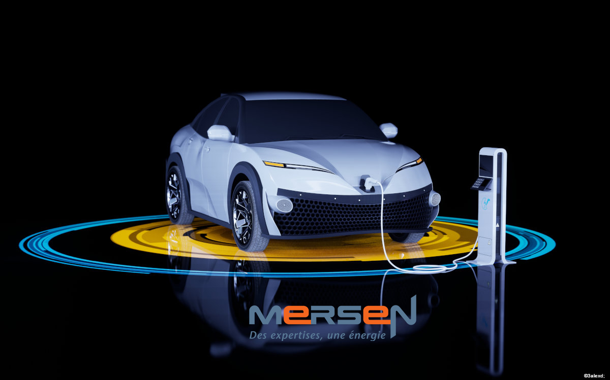 Visite de MERSEN